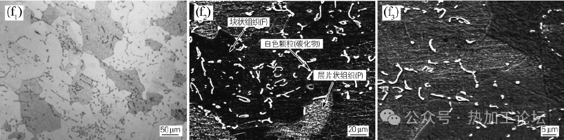 La Fig. 1(f) mostra la microstruttura dell'acciaio P92 alla temperatura isotermica di 770°C per 25 ore