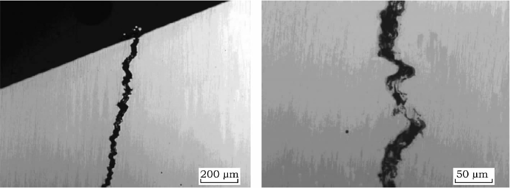 Fig.4 Observations of Crack Morphology