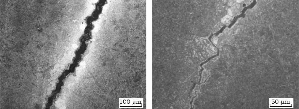 Fig.5 Microstructure of Crack