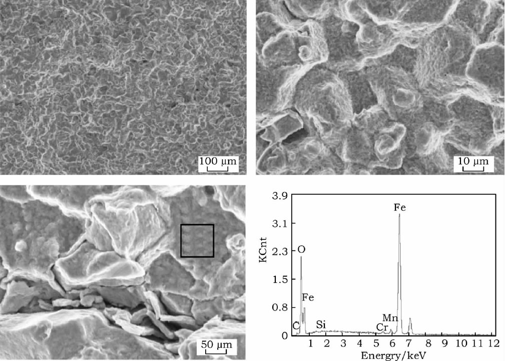 Fig.6 Morfología de la fractura de la grieta